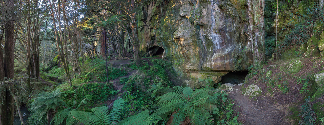 Waipu Museum/Online Shop/Photo Waipu Caves 7