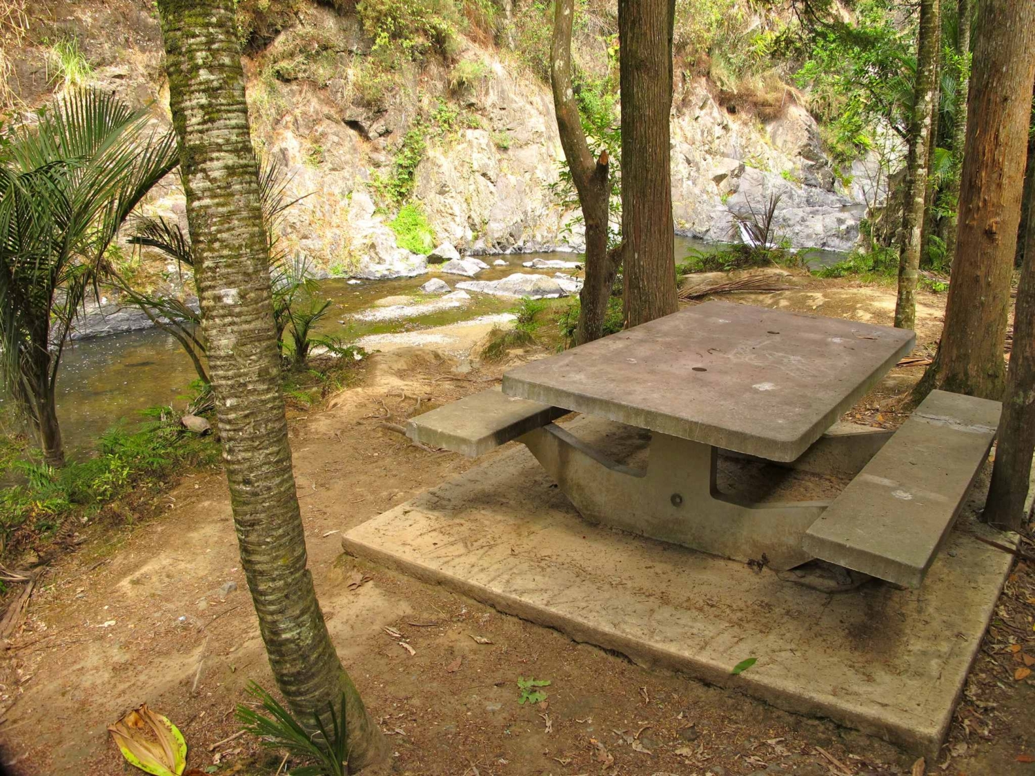 visitor-info-piroa-falls2 Waipu Scottish Migration Museum/Online Shop/Photo Piroa Falls 2