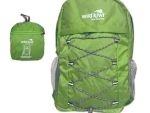 Waipu Museum/Online Shop/Wild Kiwi Packable Backpack Green