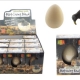 Waipu Museum/Online Shop/Growing Pet Hatching Kiwi